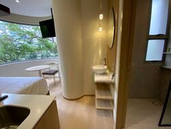 Mount Elizabeth Link (D9), Condominium #572933801